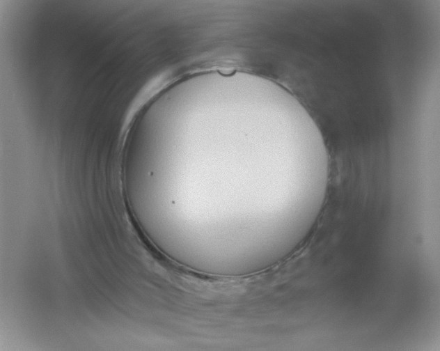 X0000061750004200512161729