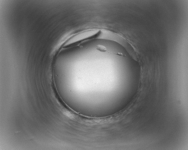 X0000061750005200512161729