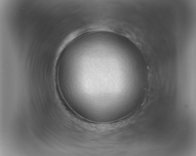 X0000061750006200512161729