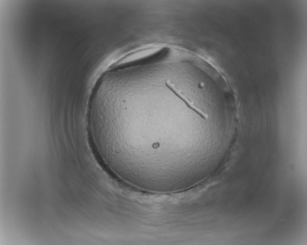 X0000061750007200512161729