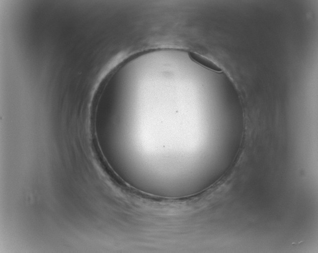 X0000061750008200512161729