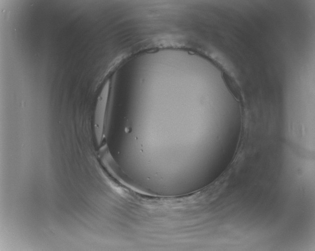 X0000061750009200512161729