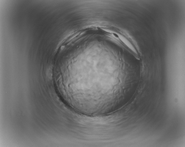 X0000061750010200512161729