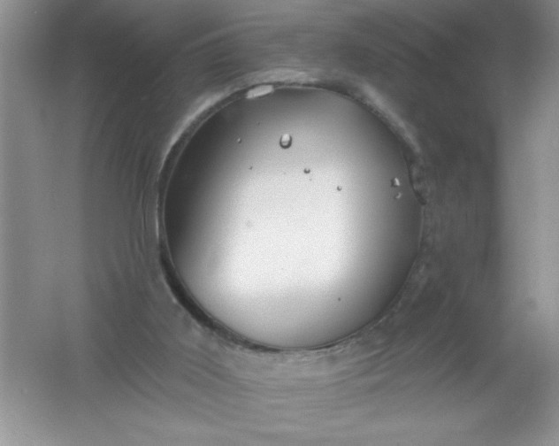 X0000061750011200512161729