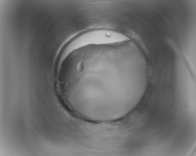 X0000061750012200512161729