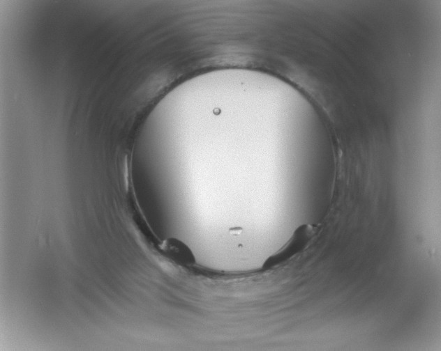 X0000061750013200512161729