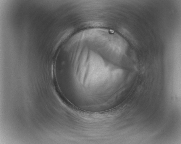 X0000061750014200512161729