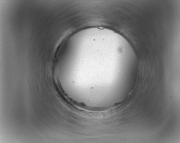 X0000061750015200512161729