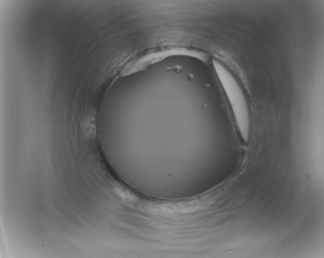 X0000061750017200512161729