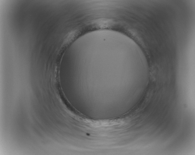 X0000061750018200512161729