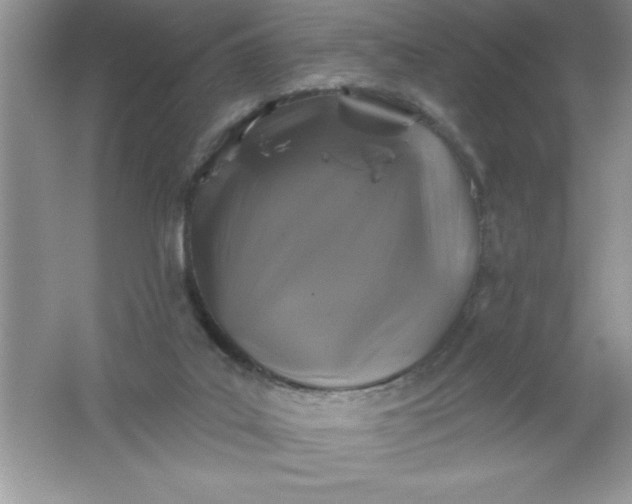 X0000061750019200512161729