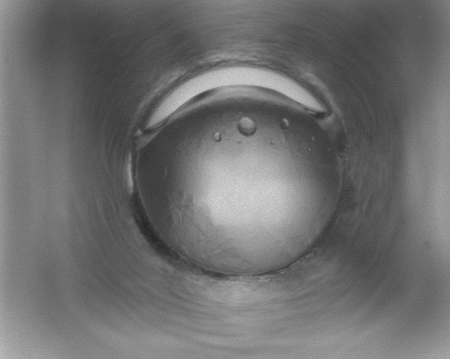 X0000061750020200512161729