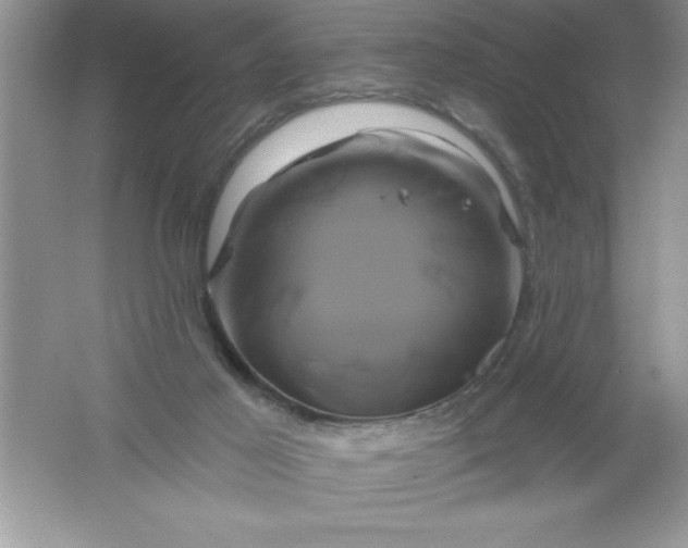 X0000061750021200512161729