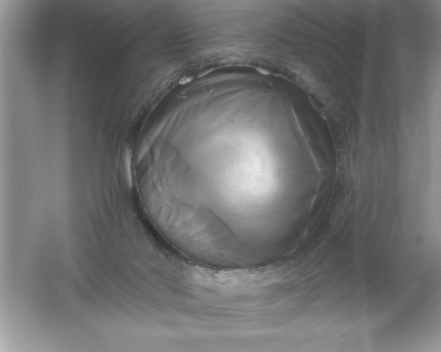 X0000061750022200512161729