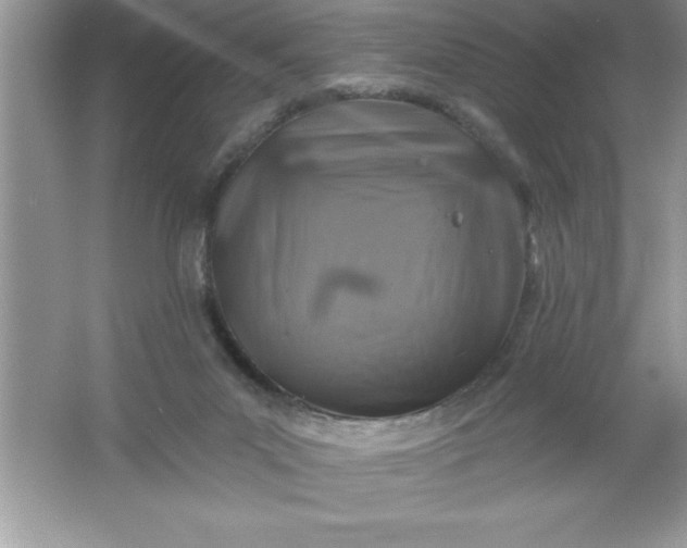 X0000061750023200512161729