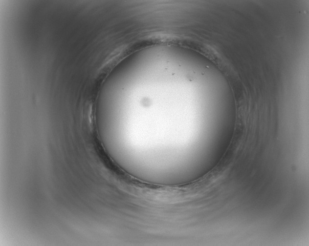 X0000061750024200512161729