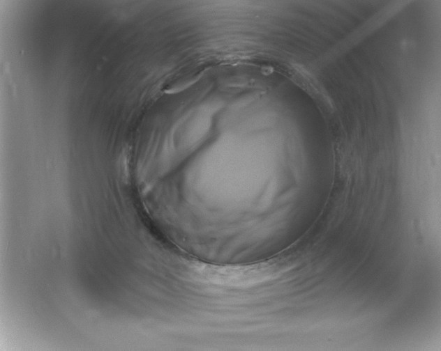 X0000061750026200512161729