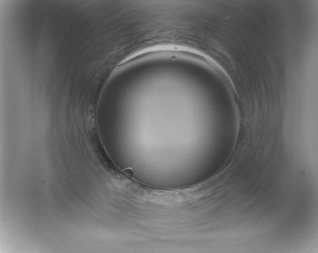 X0000061750029200512161729