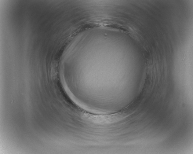 X0000061750030200512161729