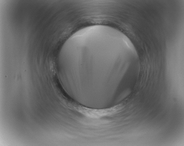 X0000061750031200512161729