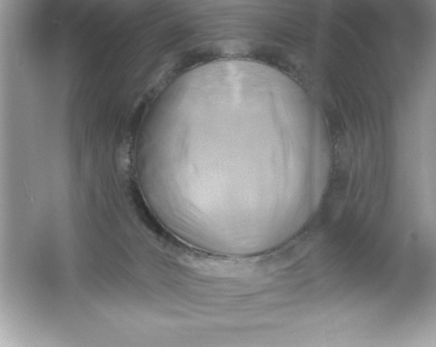 X0000061750032200512161728