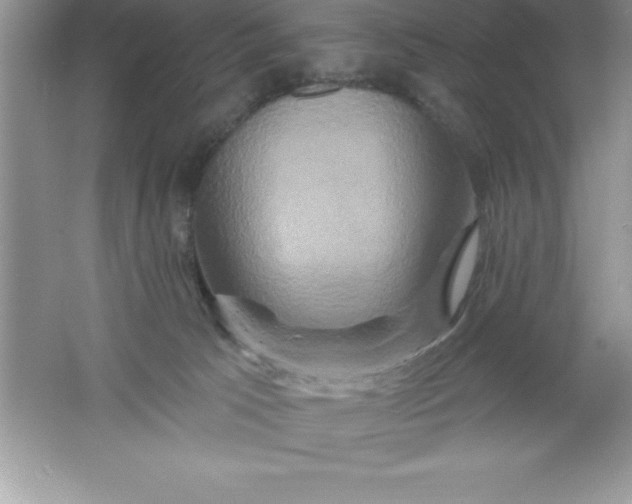 X0000061750033200512161728