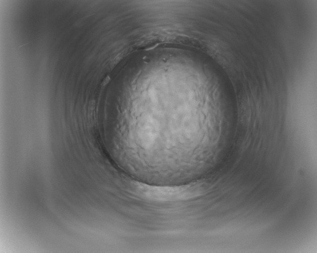 X0000061750034200512161728