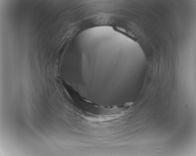 X0000061750035200512161728