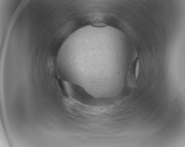 X0000061750037200512161728