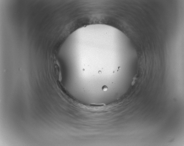 X0000061750038200512161728