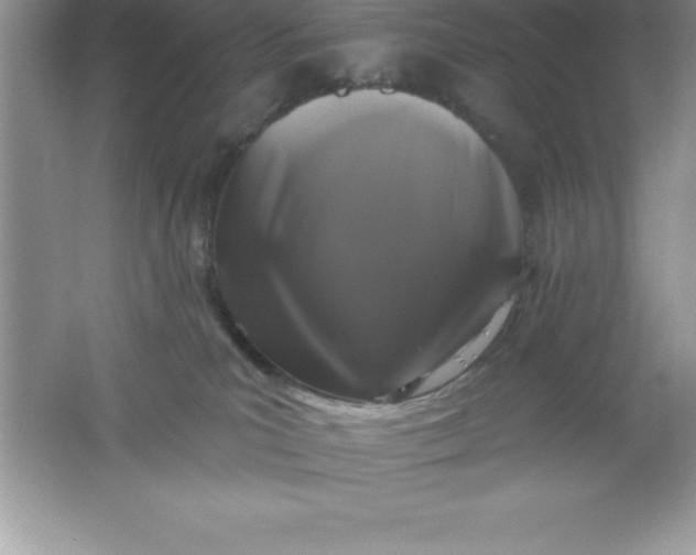 X0000061750039200512161728