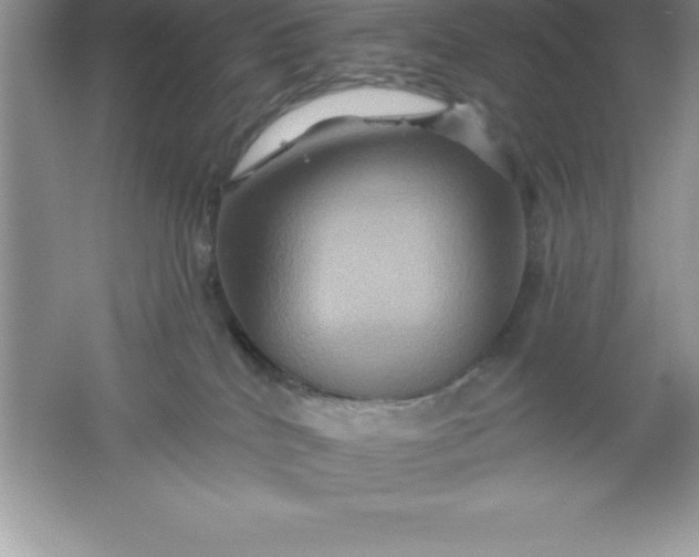 X0000061750040200512161728