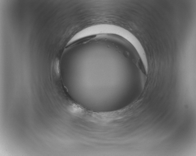 X0000061750041200512161728