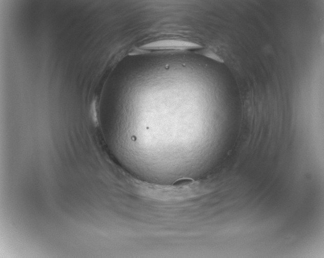 X0000061750042200512161728