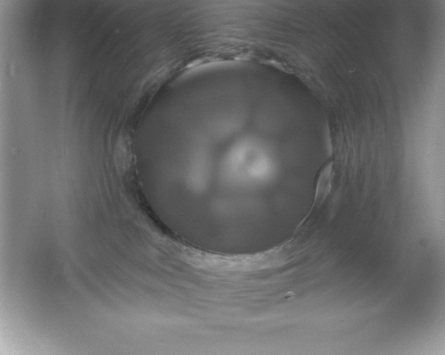 X0000061750043200512161728