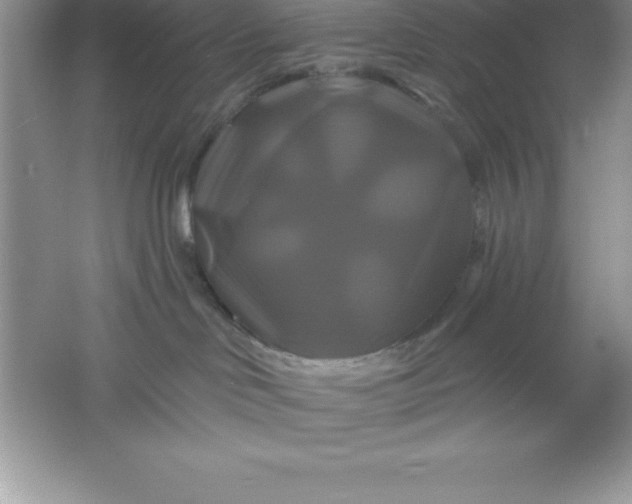 X0000061750046200512161728