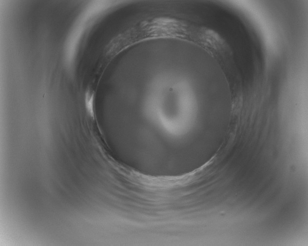 X0000061750047200512161728