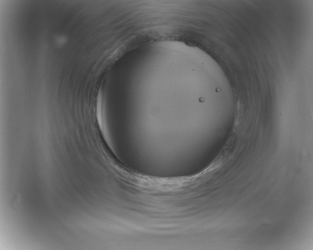 X0000061750048200512161728