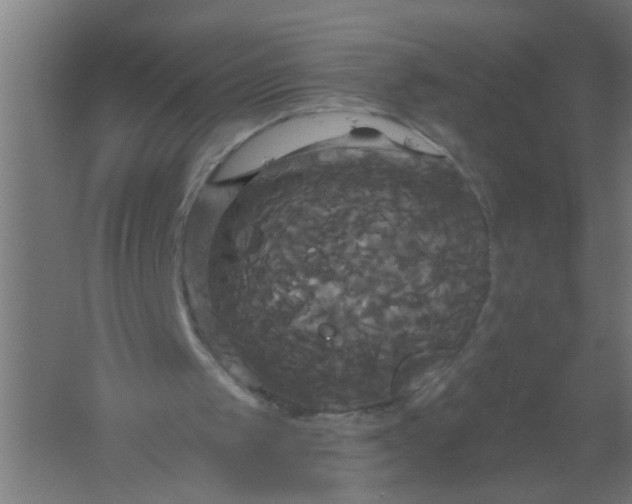 X0000061750049200512161727