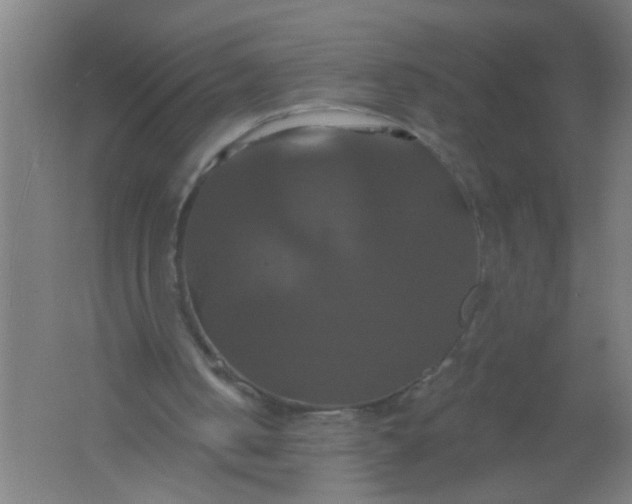 X0000061750050200512161727