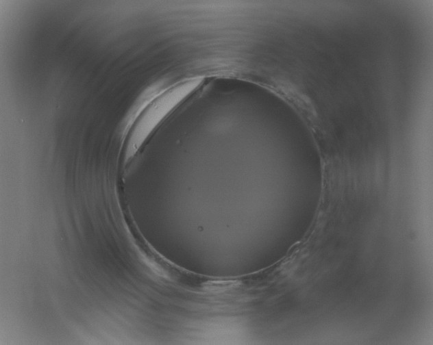 X0000061750051200512161727