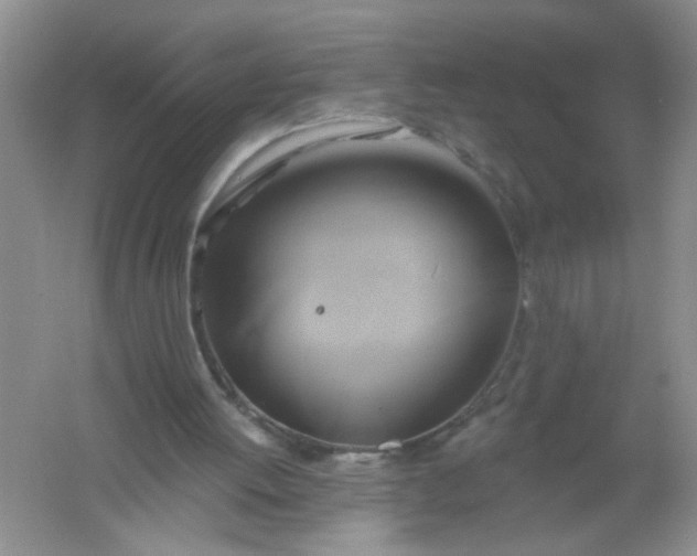 X0000061750052200512161727