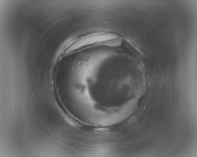 X0000061750053200512161727