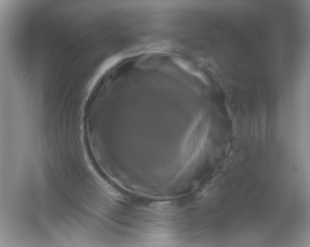 X0000061750054200512161727