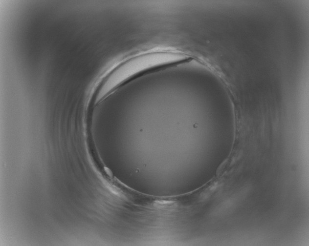 X0000061750055200512161727