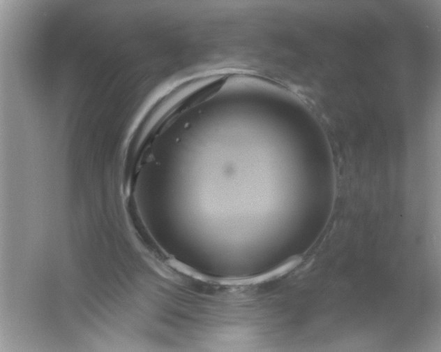 X0000061750056200512161728