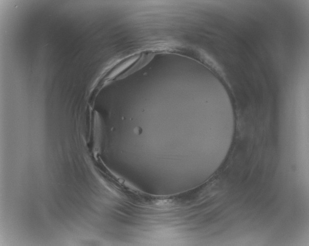 X0000061750059200512161728