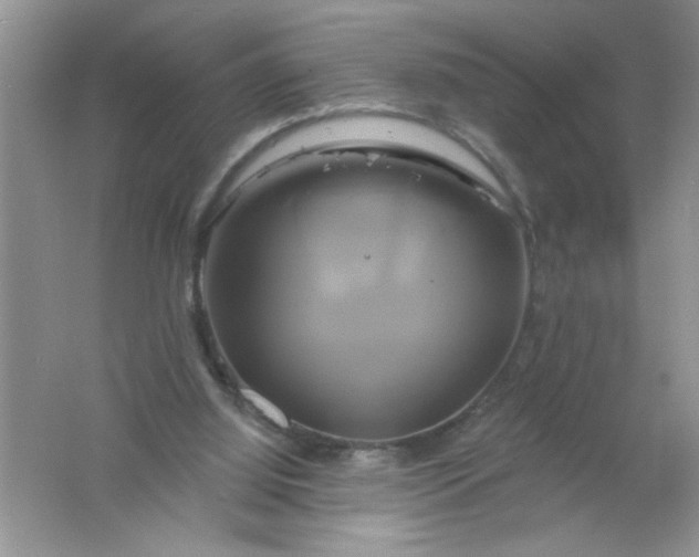 X0000061750060200512161728