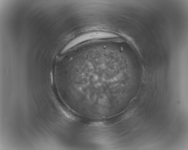 X0000061750061200512161728