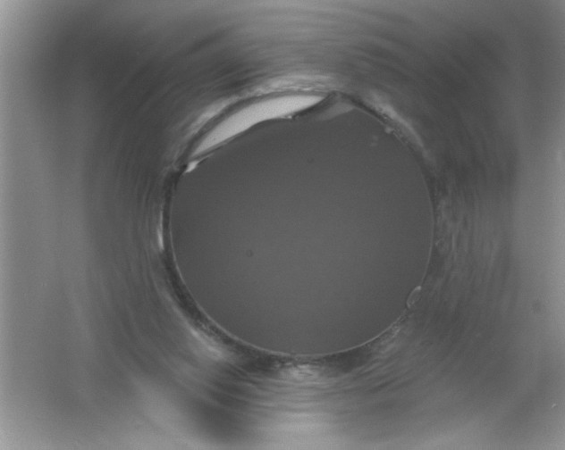 X0000061750062200512161728